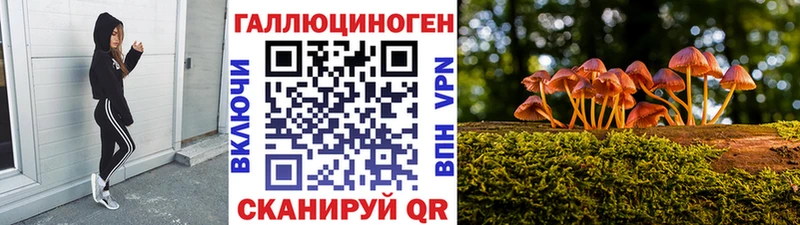 ОМГ ОМГ онион  где продают наркотики  Мытищи  Псилоцибиновые грибы GOLDEN TEACHER 