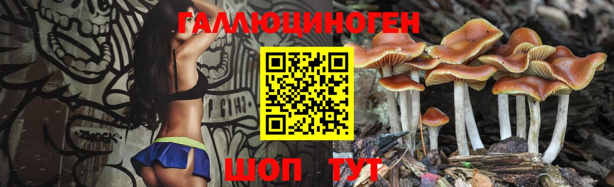 Мытищи  Галлюциногенные грибы мицелий  Вход с VPN 